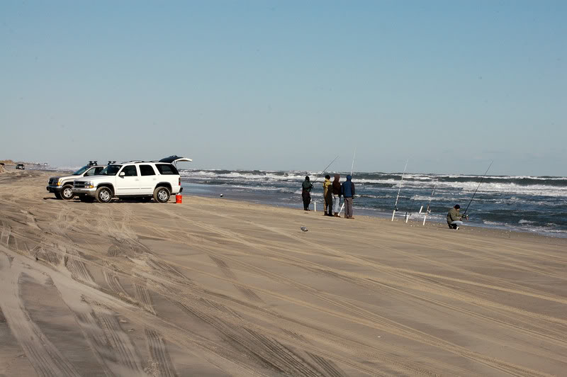 licenses outer banks voting